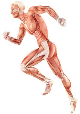 Violation de la dépréciation neuromusculaire