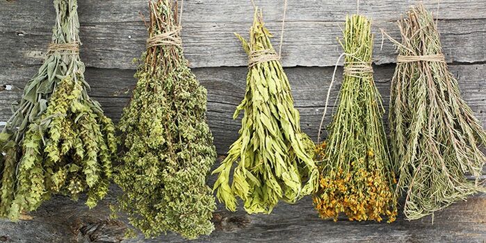Herbes pour traiter l'arthrose de l'épaule.